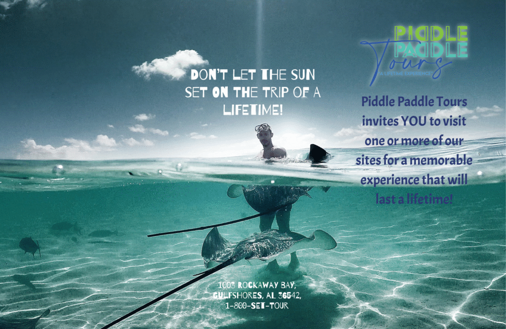 Screenshot 2024 12 06 At 9.00.04 AM 1024x666